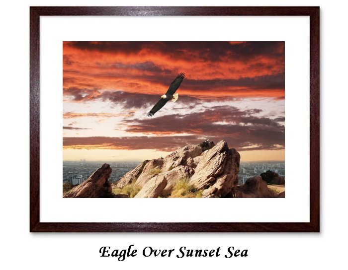 Eagle Over Sunset Sea Framed Print